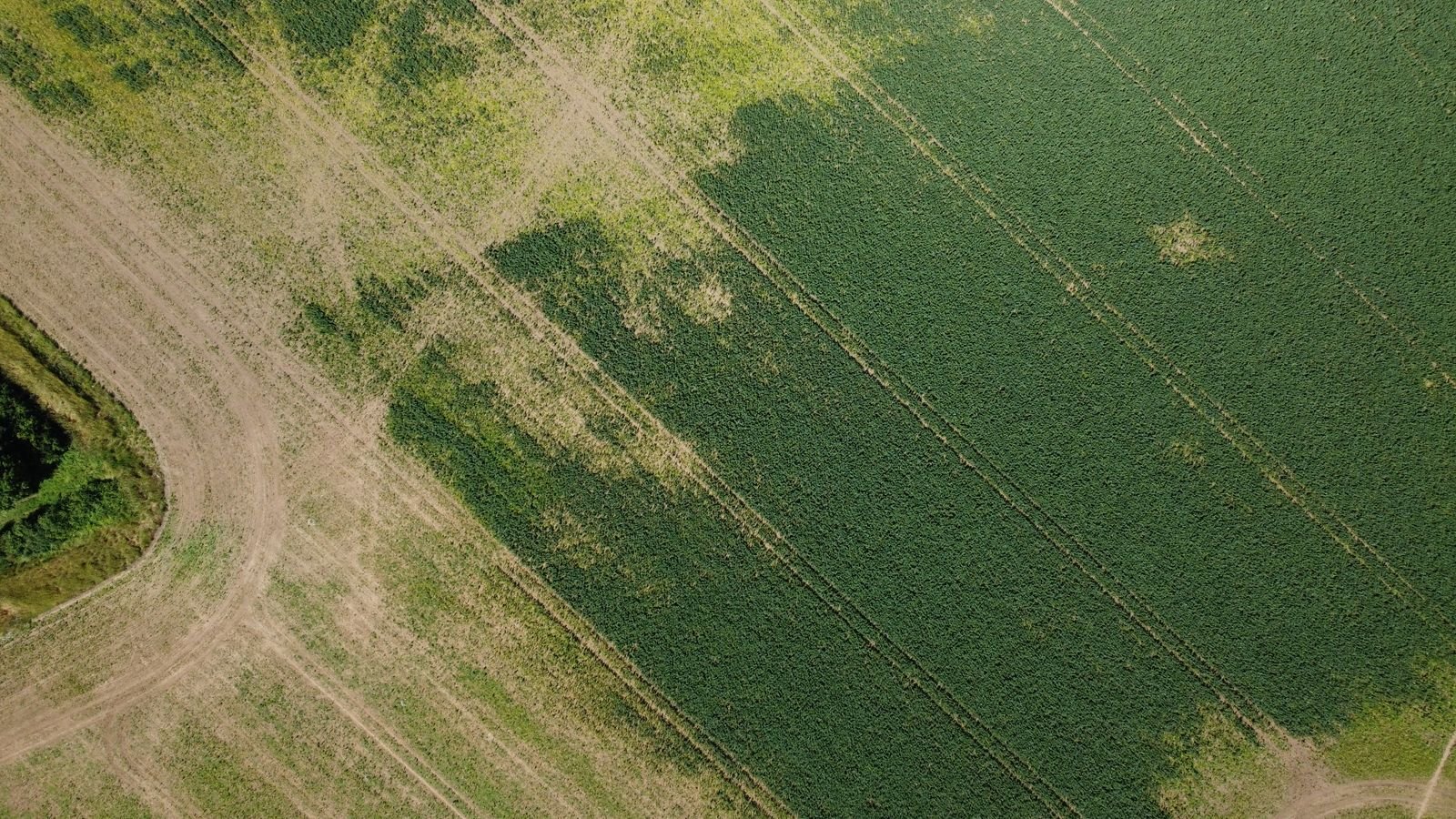 Parcelles agricoles délimitées vues par drone