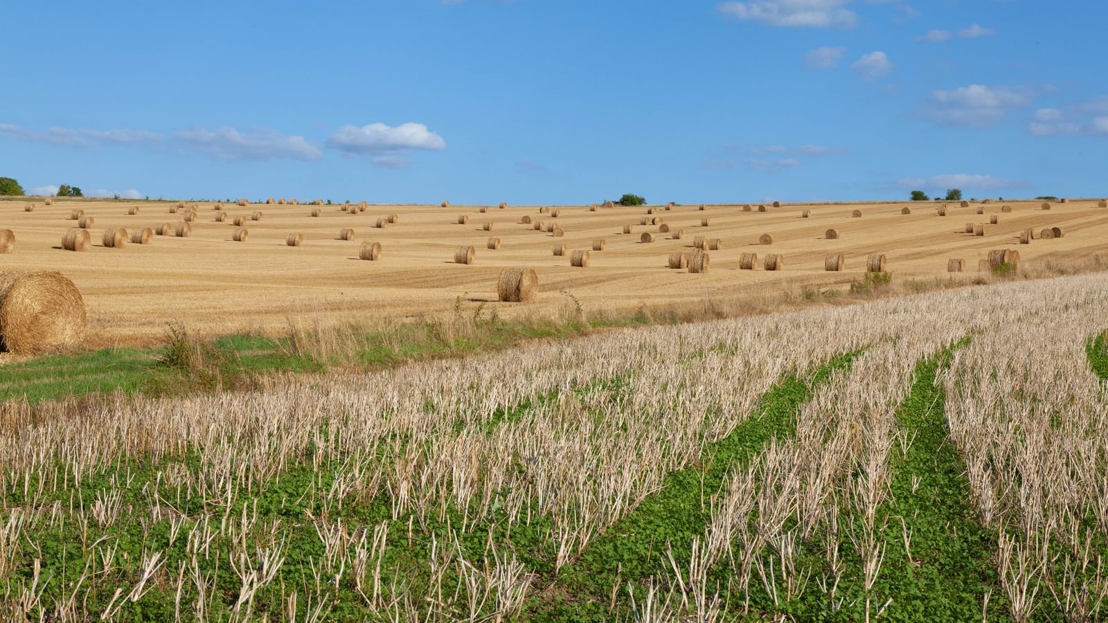 Champ agricole avec bottes de foin dans la campagne française